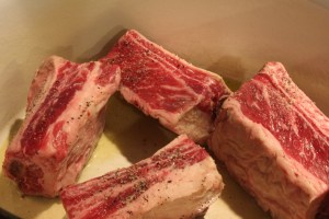 Seasoned Beef Short Ribs with salt and pepper